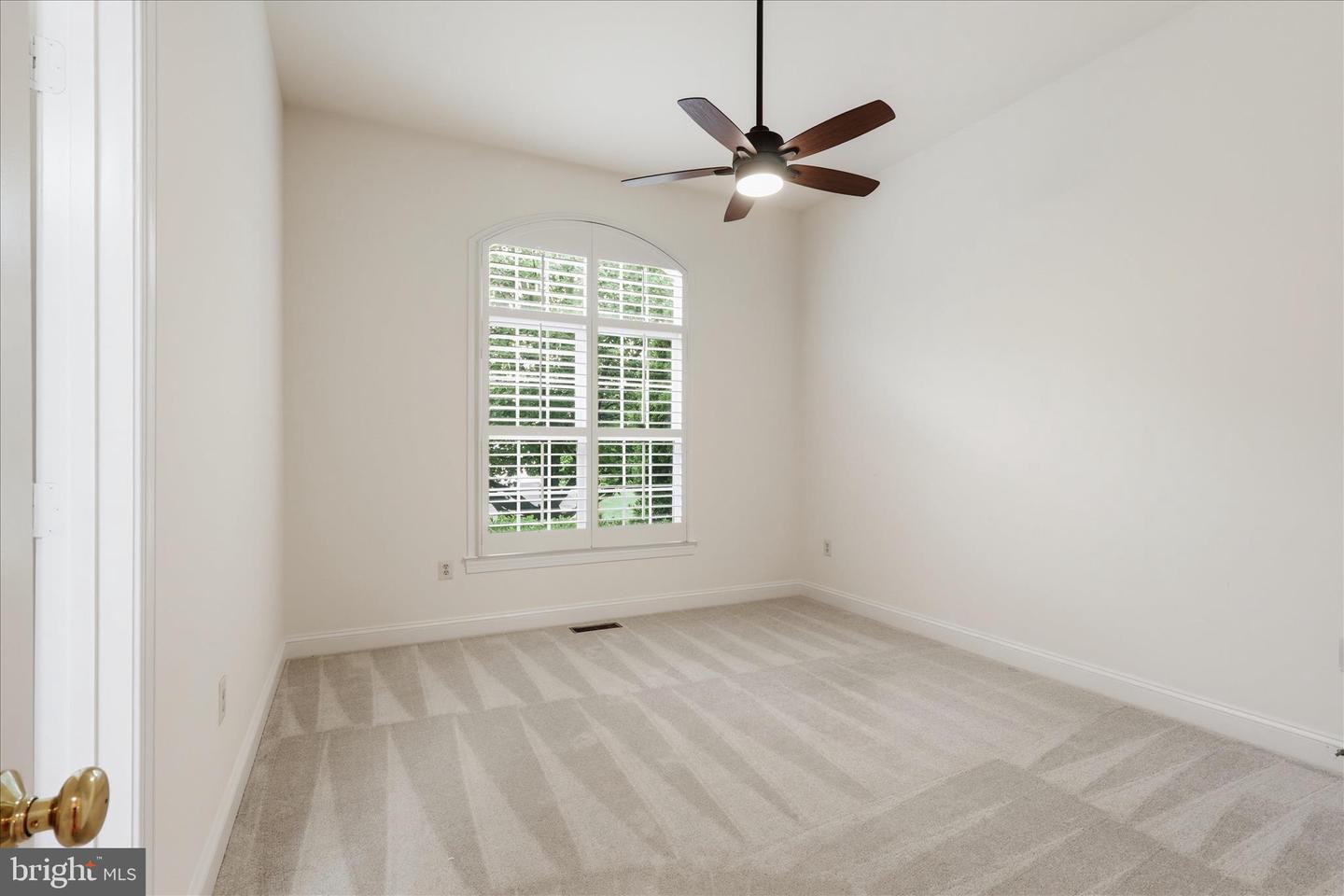 8277 Roxborough Loop Property Photo 33