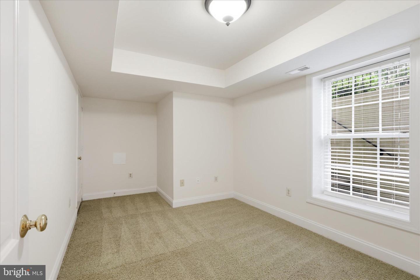 8277 Roxborough Loop Property Photo 45
