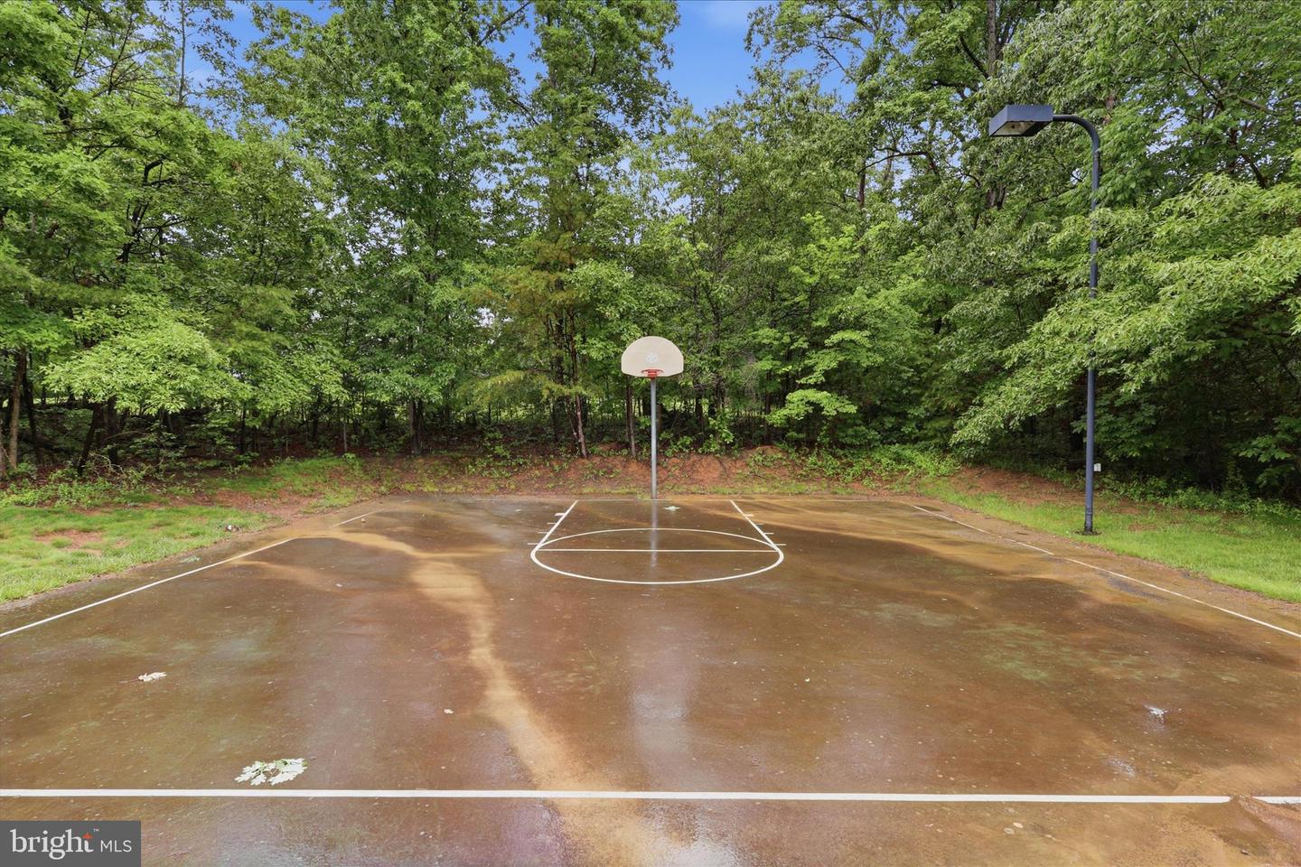 8277 Roxborough Loop Property Photo 70