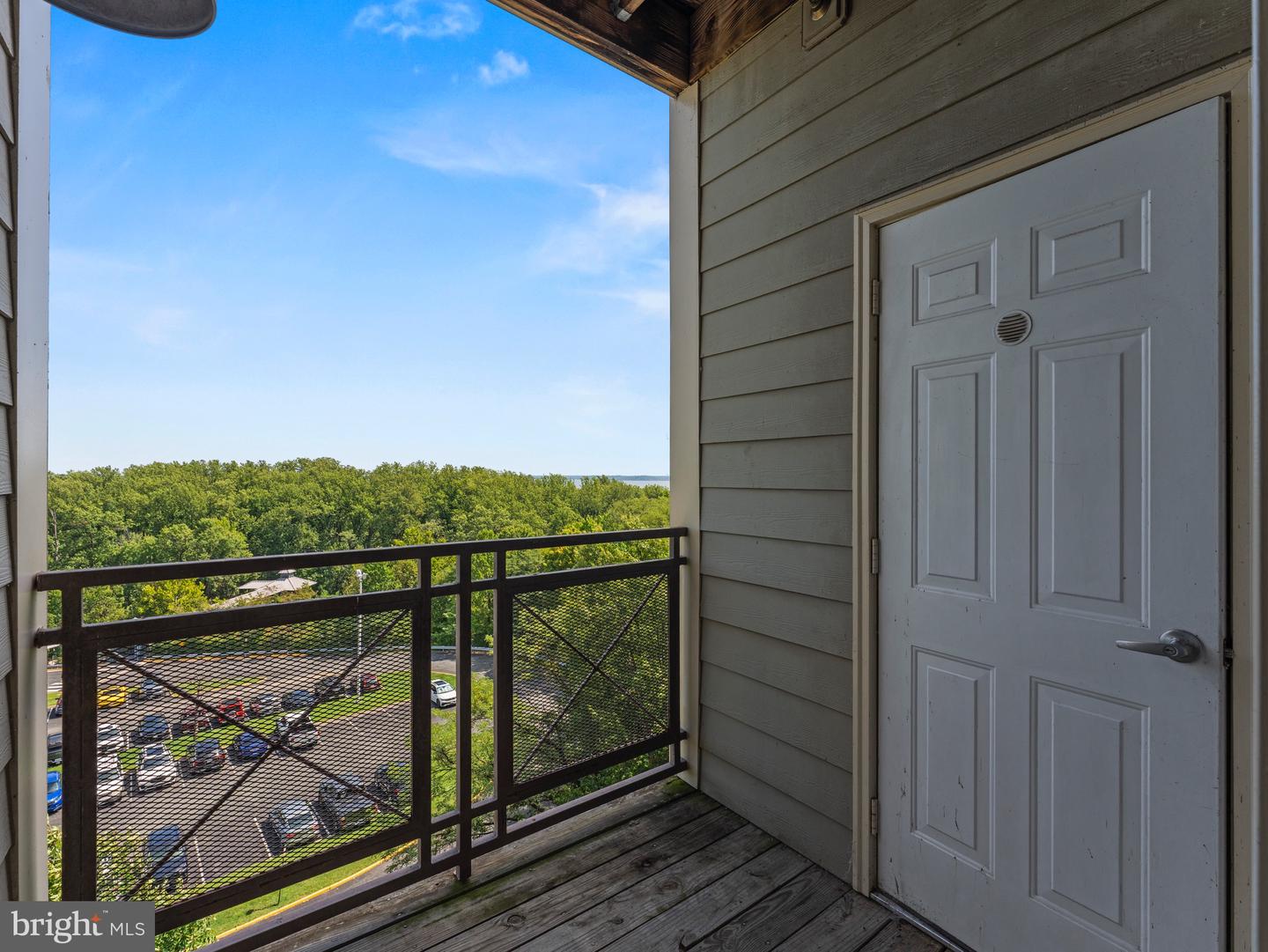 1641 Ladue Ct #304 Property Photo 19