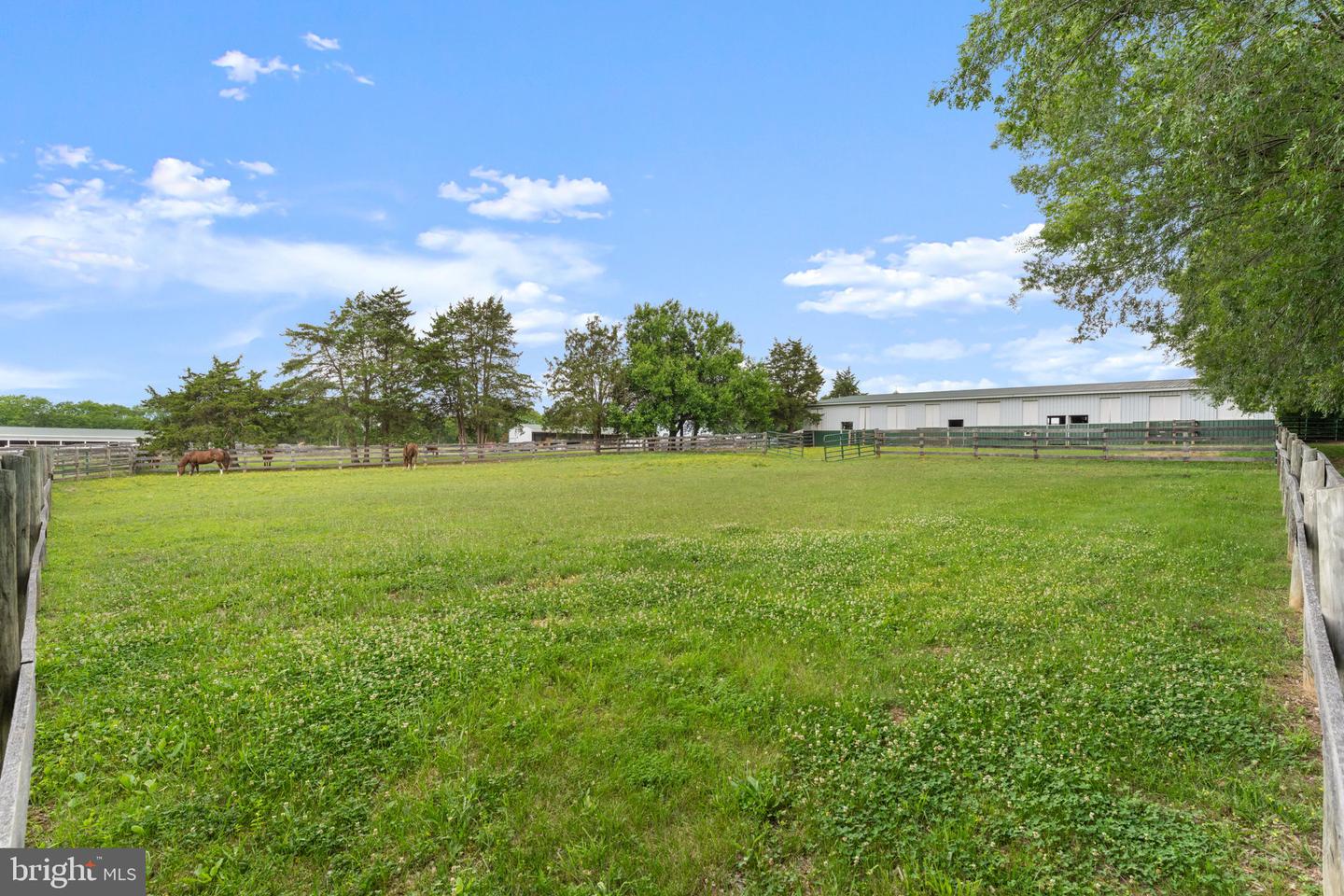 11605 Parkgate Dr Property Photo 58