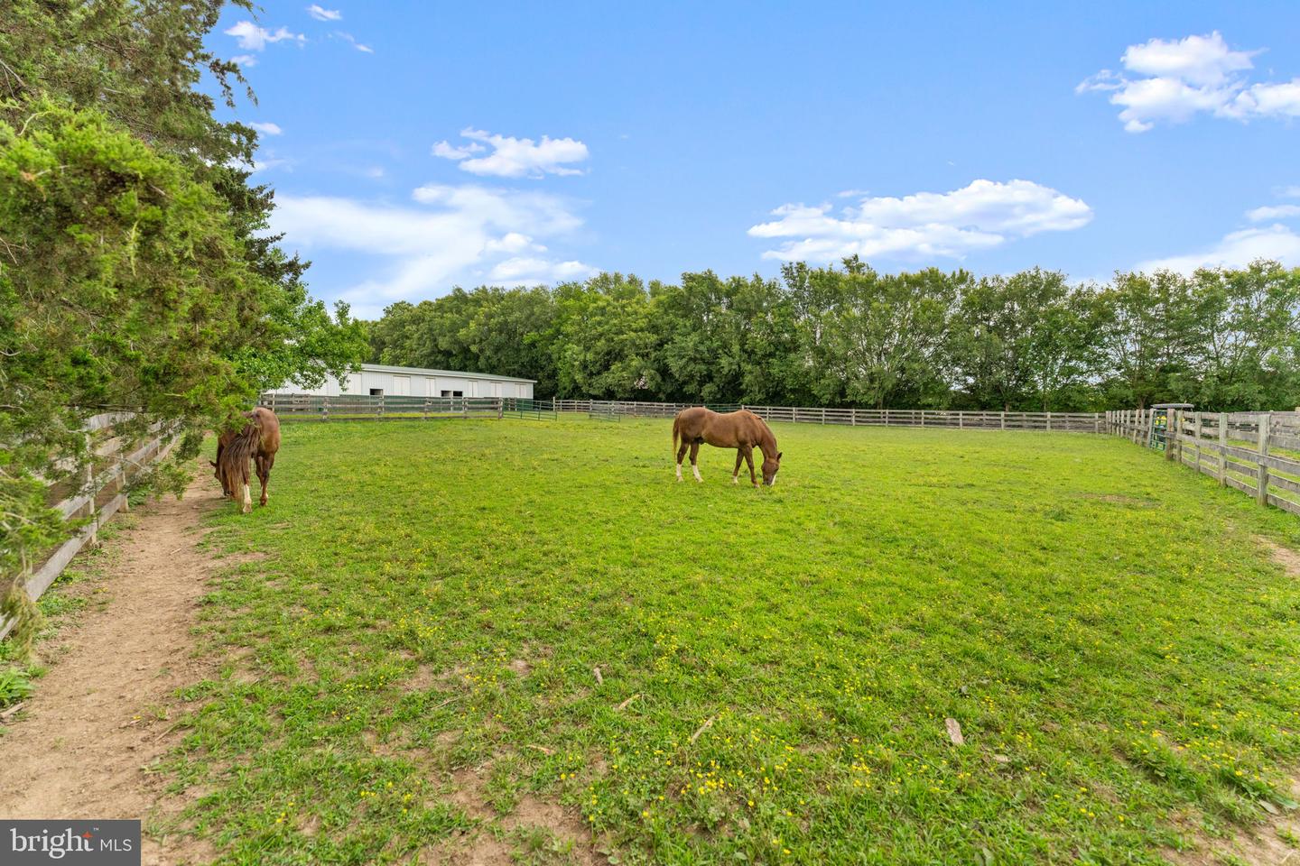 11605 Parkgate Dr Property Photo 61