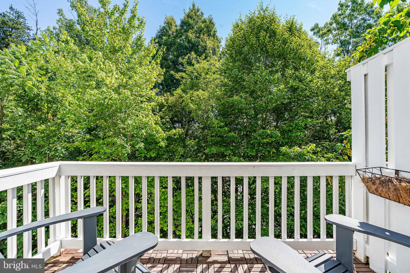 12783 Lotte Dr Property Photo 17