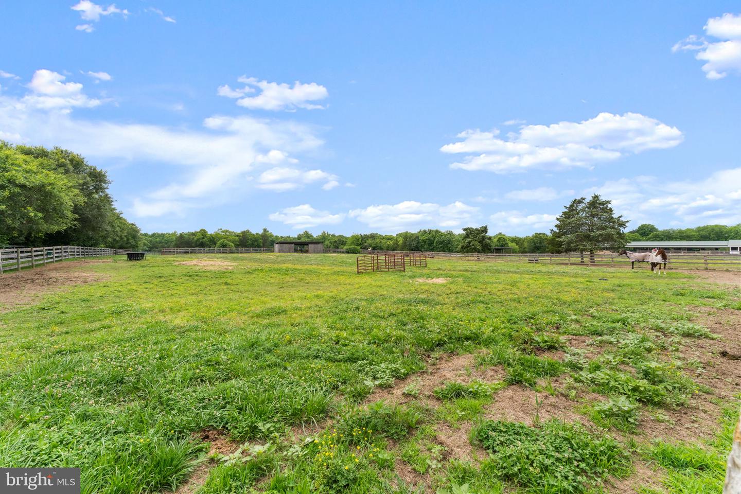11605 Parkgate Dr Property Photo 18