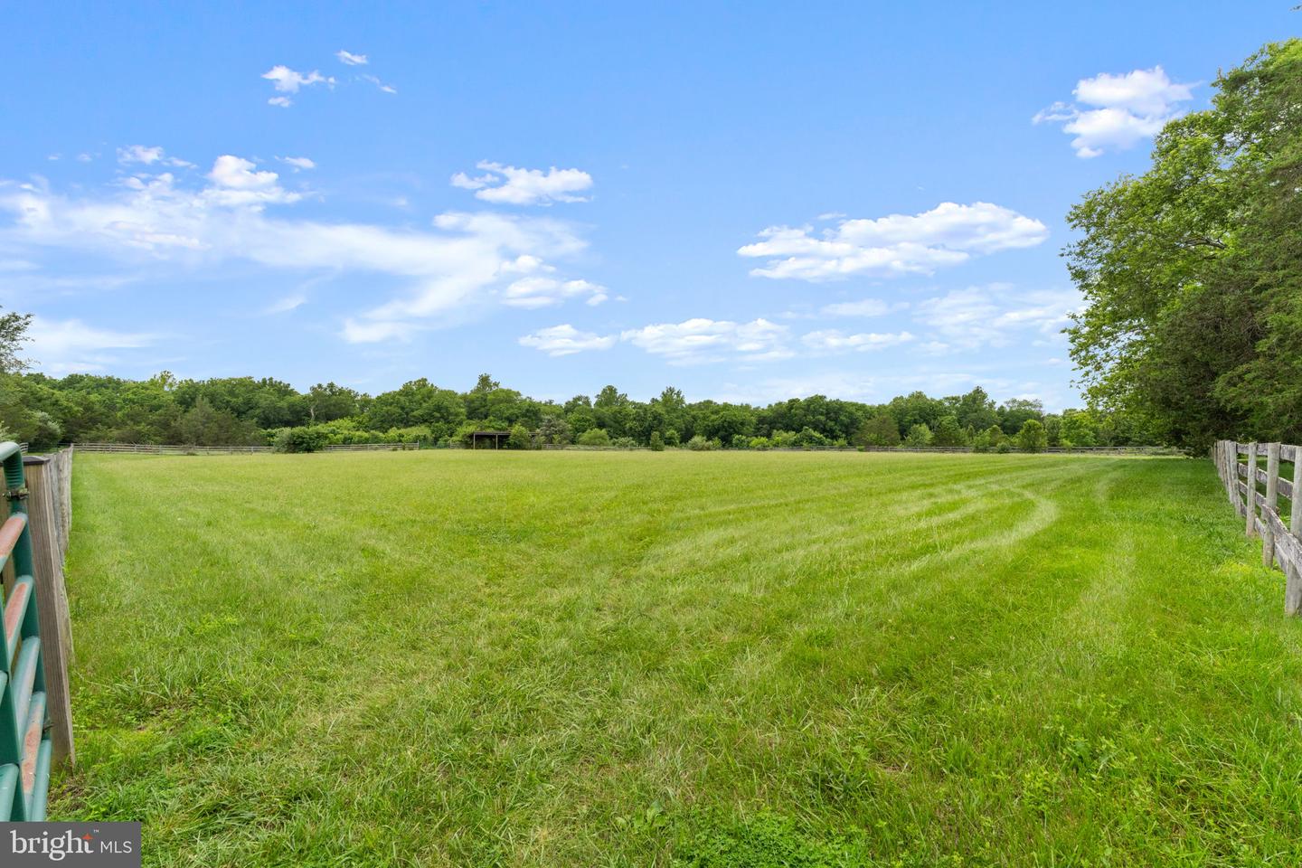 11605 Parkgate Dr Property Photo 19