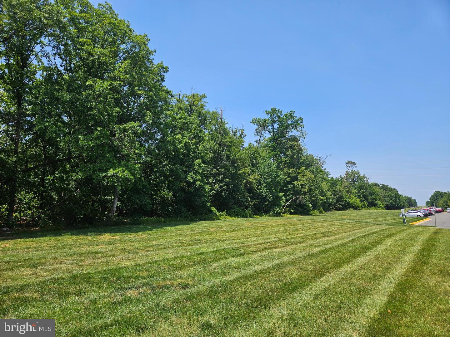 11268 Wortham Crest Cir #08 Property Photo 31