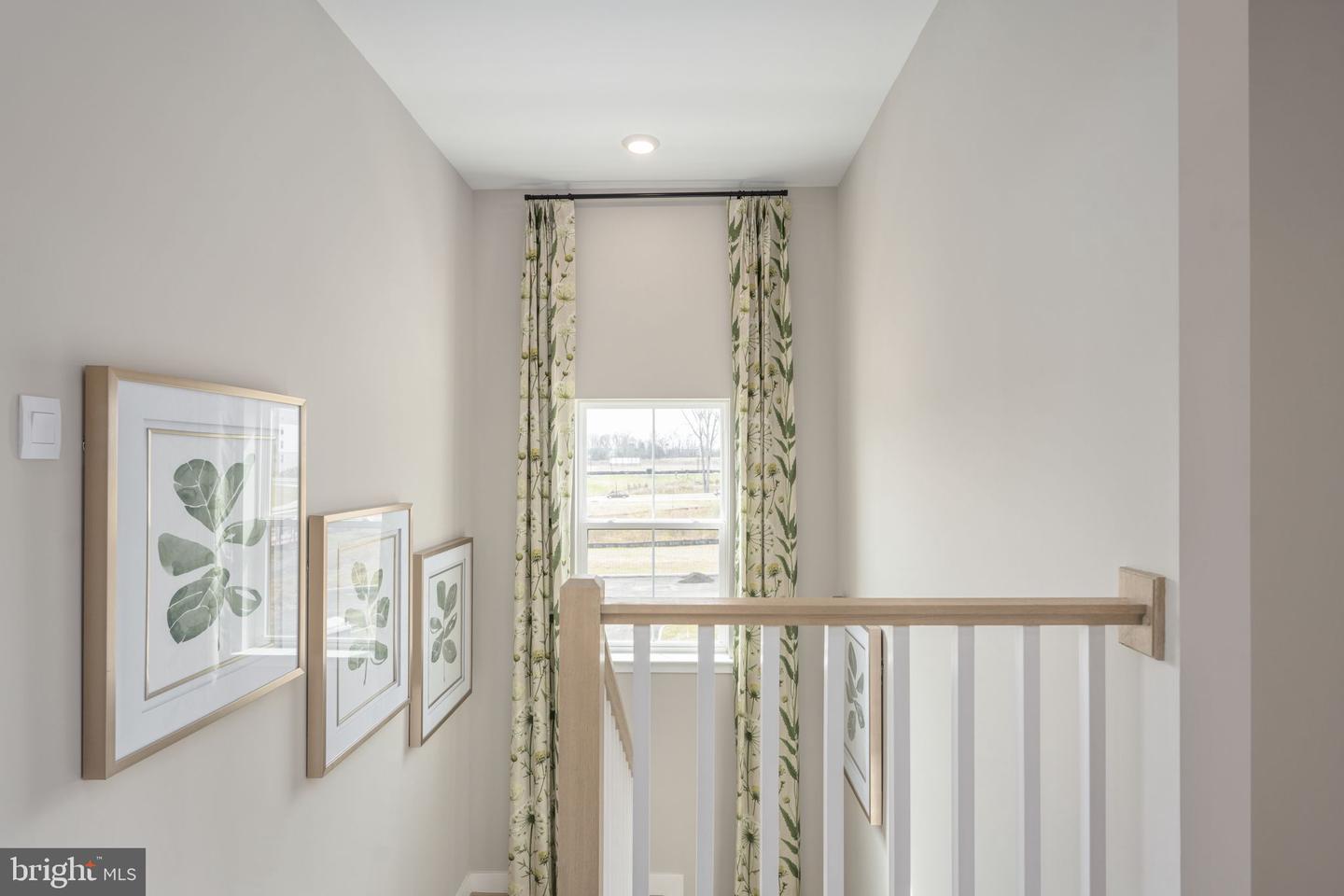 11320 Hypatia Loop Property Photo 24