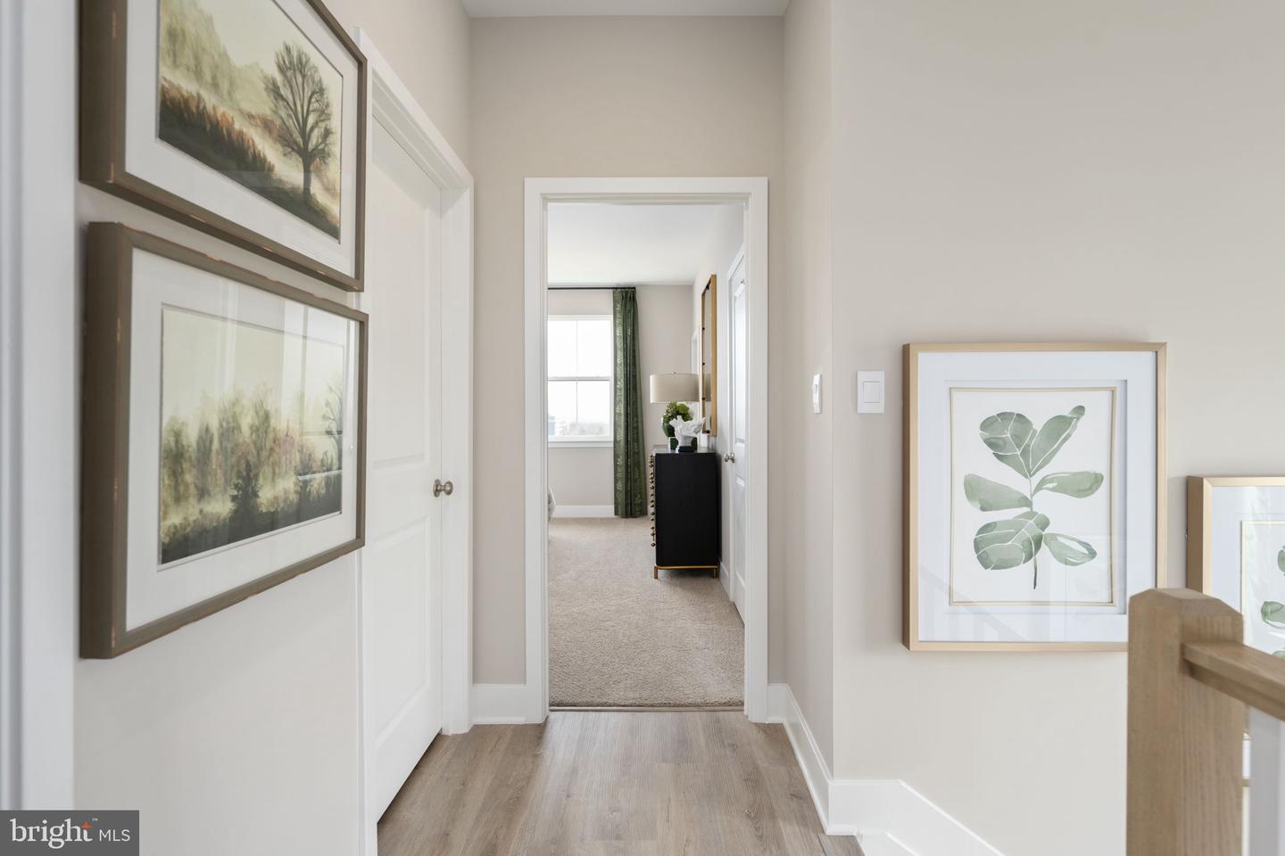 11320 Hypatia Loop Property Photo 25