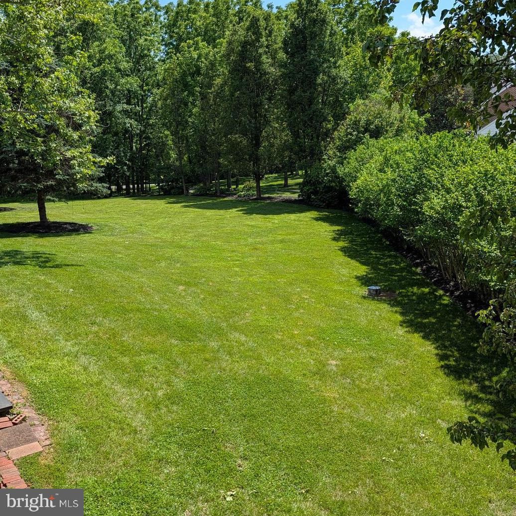 13870 Shelter Manor Dr Property Photo 47