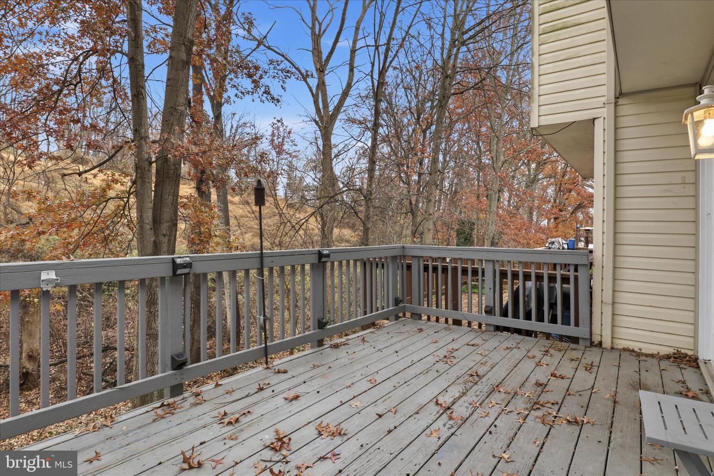 2038 Stargrass Ct Property Photo 15