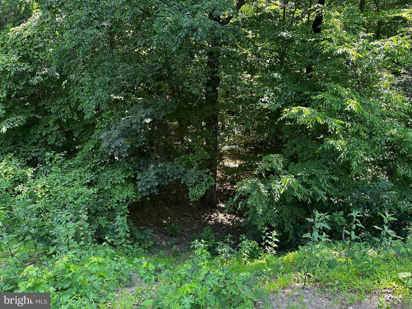 17201 Interstate Dr Property Photo 4