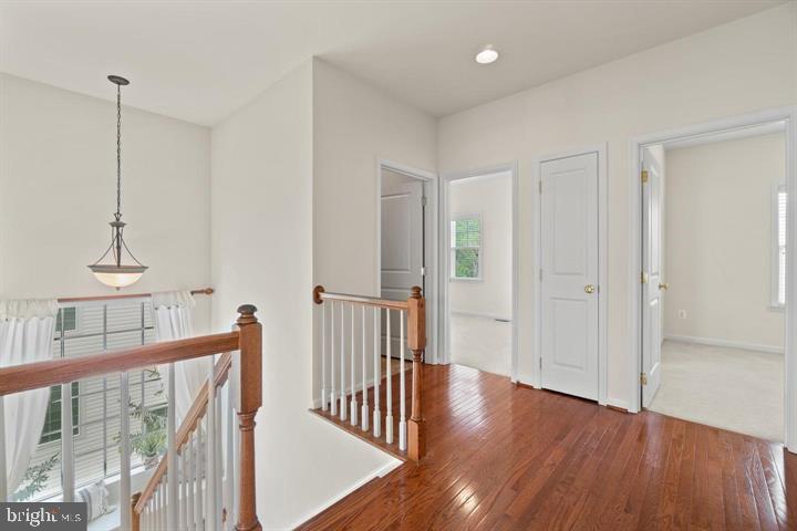 14160 Catbird Dr Property Photo 13