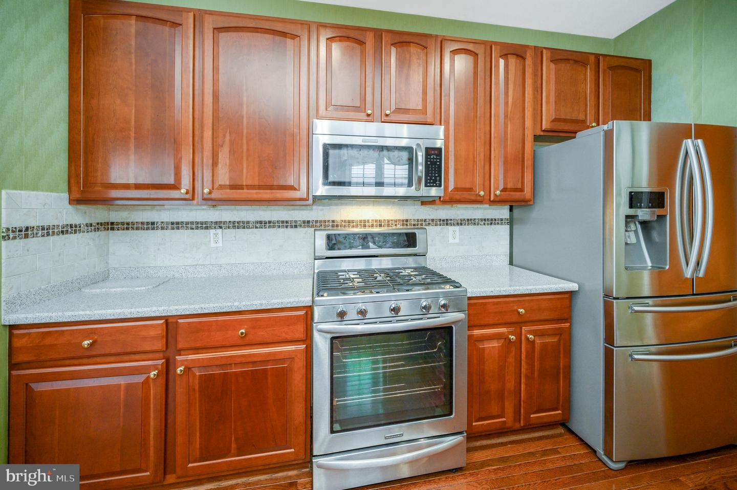 13784 Charismatic Way Property Photo 4