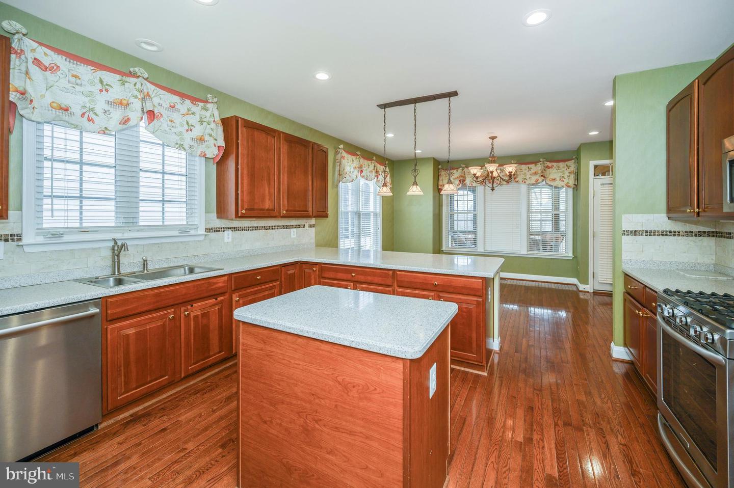 13784 Charismatic Way Property Photo 5