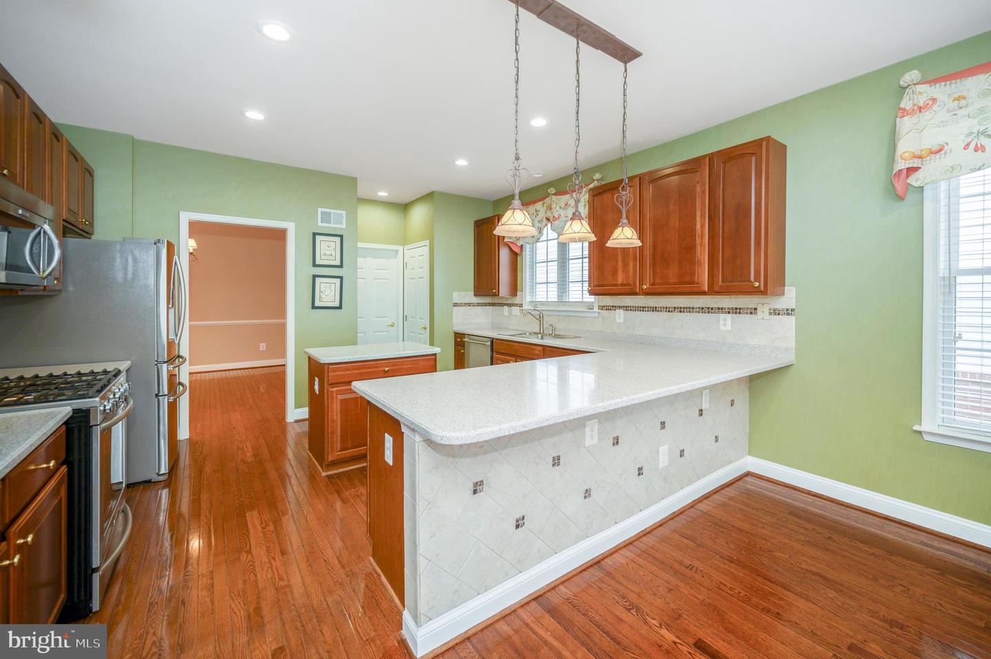 13784 Charismatic Way Property Photo 7