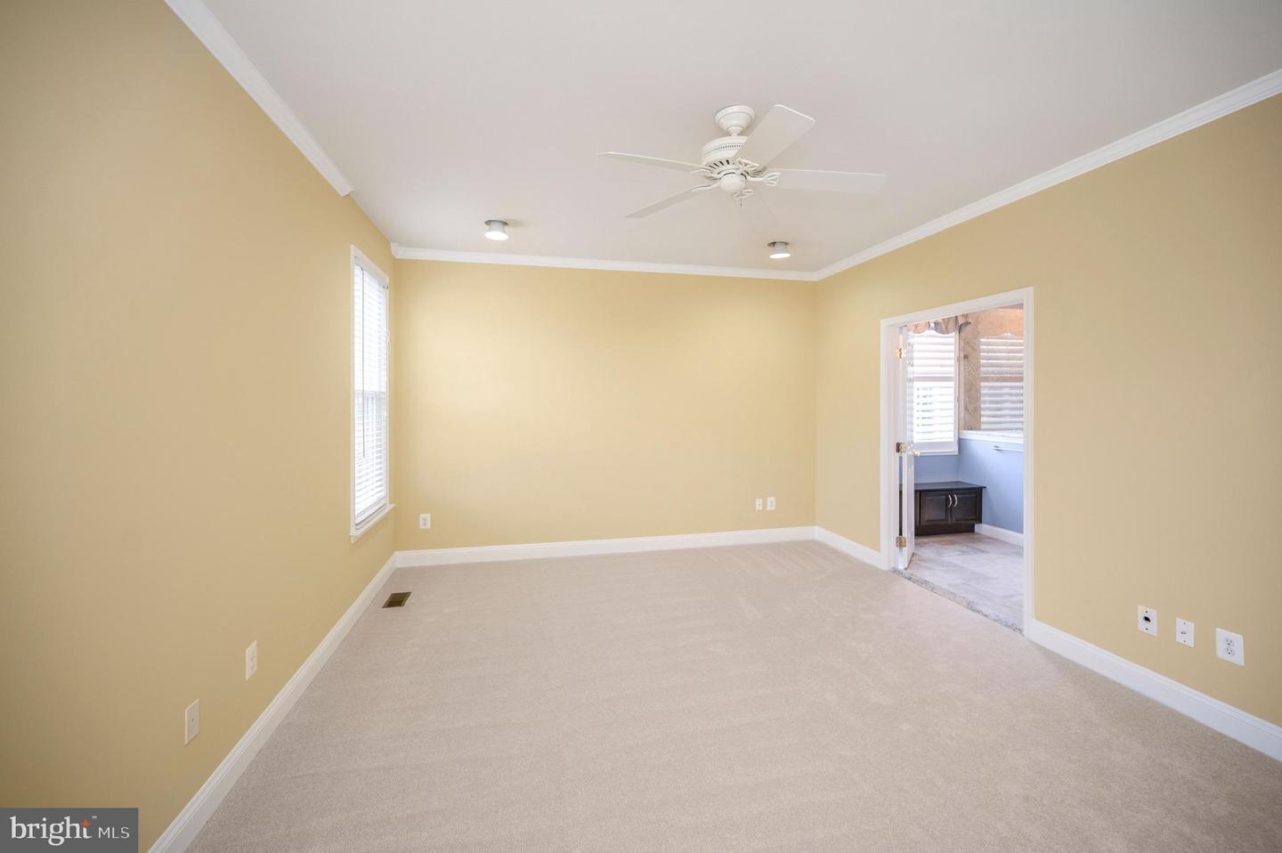 13784 Charismatic Way Property Photo 22