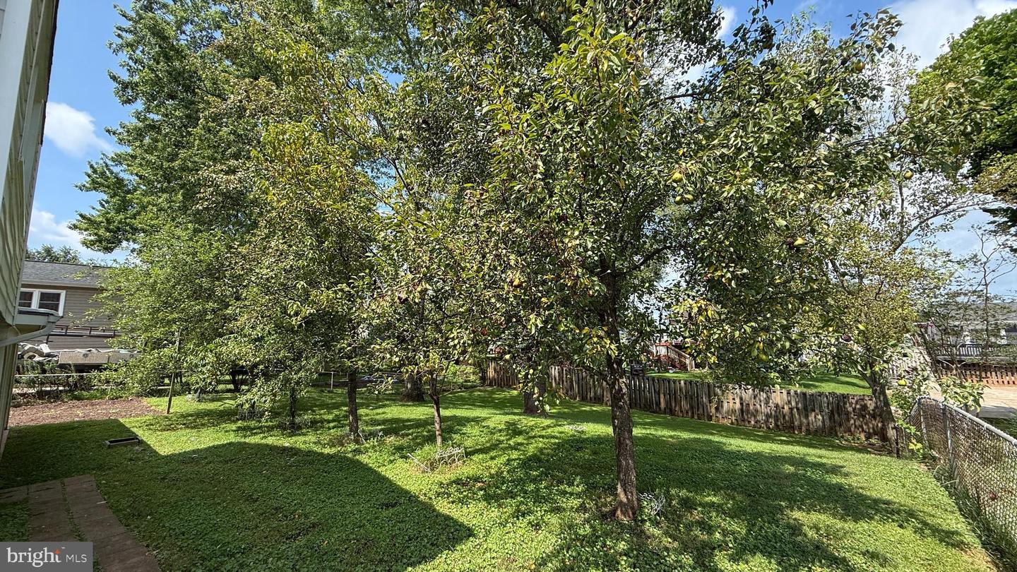 7512 Albemarle Dr Property Photo 33
