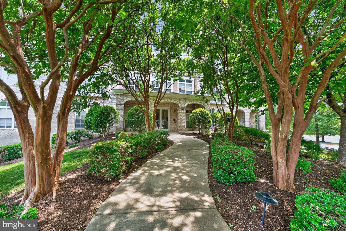 810 Belmont Bay Dr #204 Property Photo 2