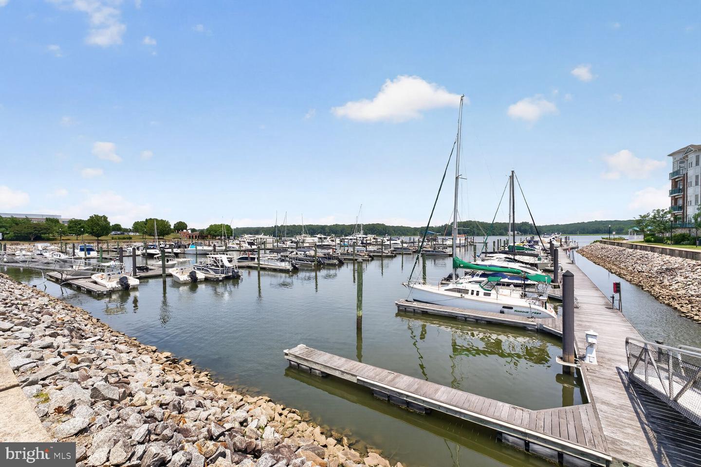 810 Belmont Bay Dr #204 Property Photo 20