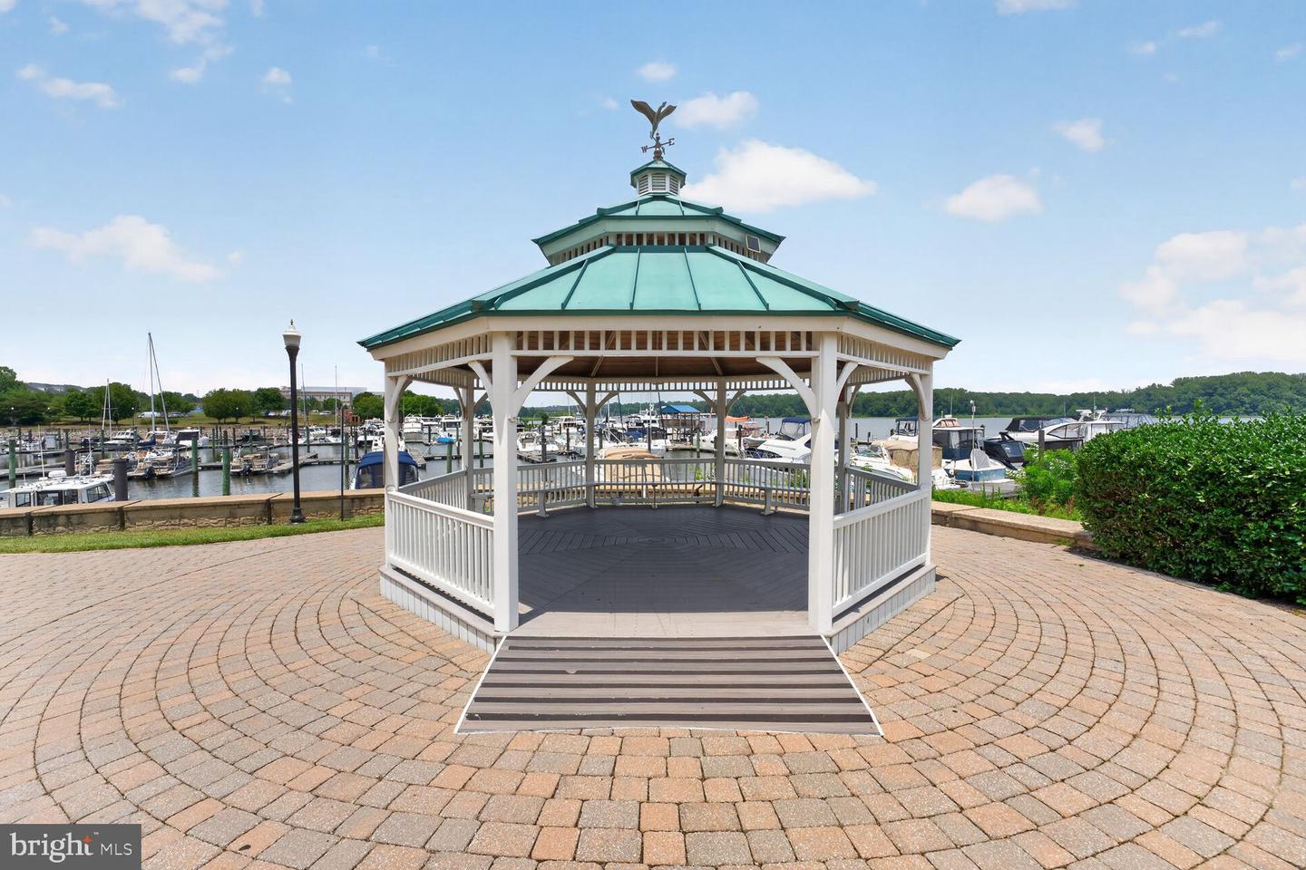 810 Belmont Bay Dr #204 Property Photo 22