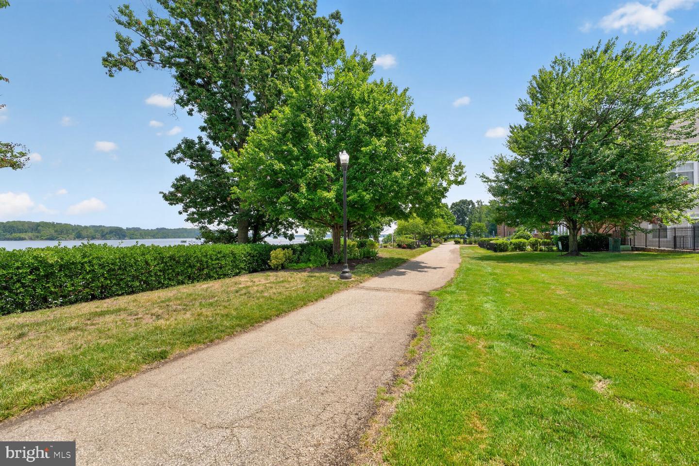 810 Belmont Bay Dr #204 Property Photo 23