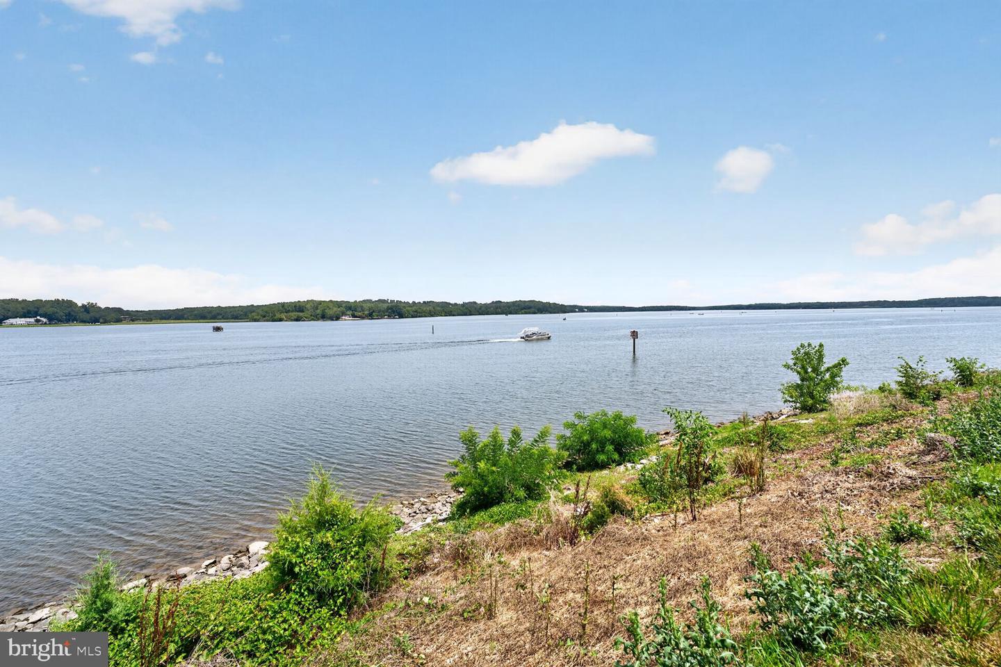 810 Belmont Bay Dr #204 Property Photo 24