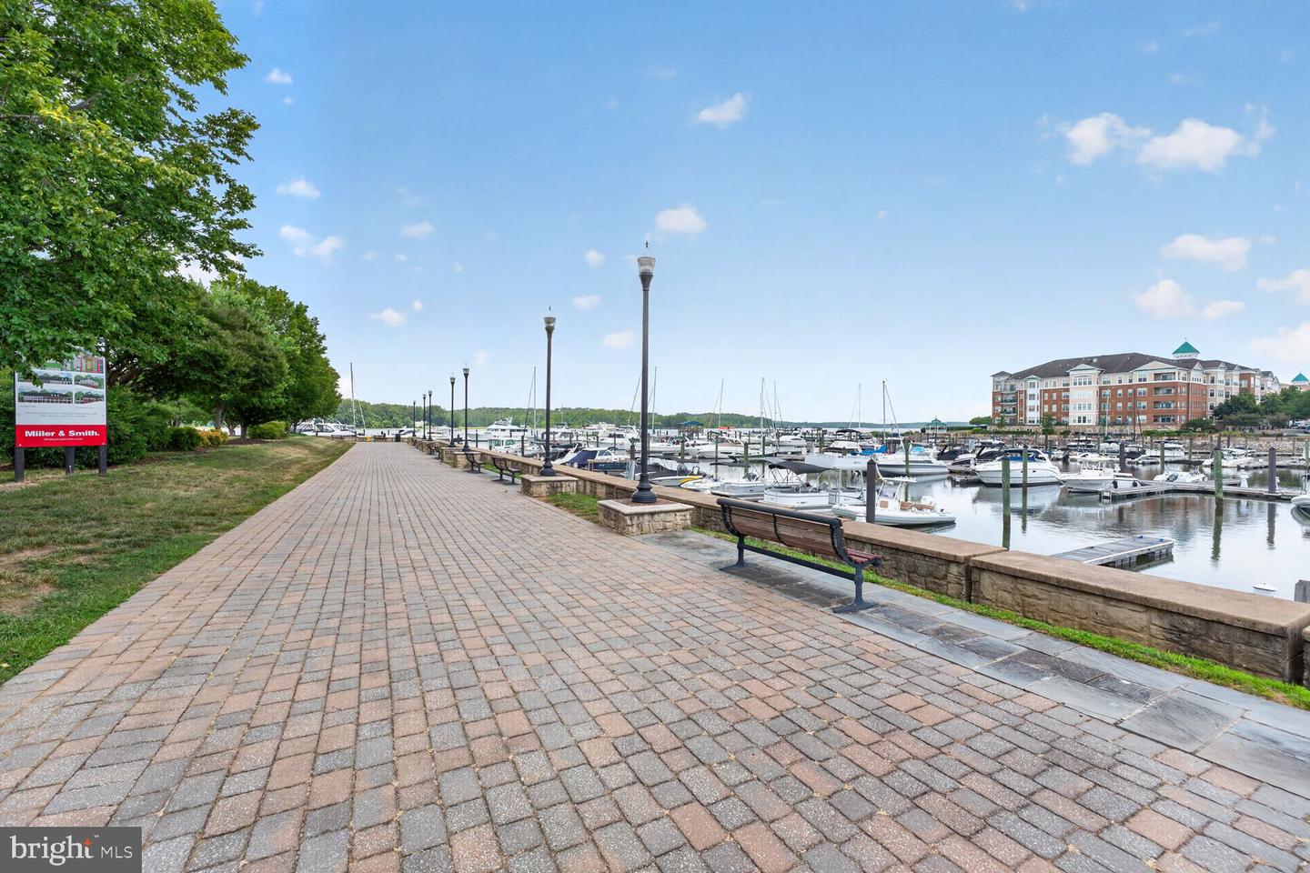 810 Belmont Bay Dr #204 Property Photo 26