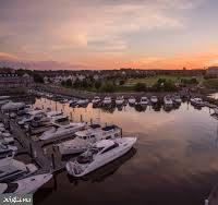 810 Belmont Bay Dr #204 Property Photo 29