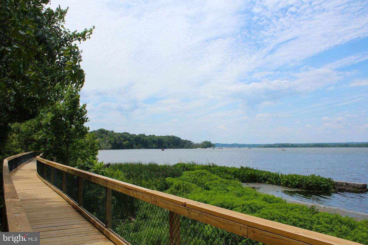 810 Belmont Bay Dr #204 Property Photo 31