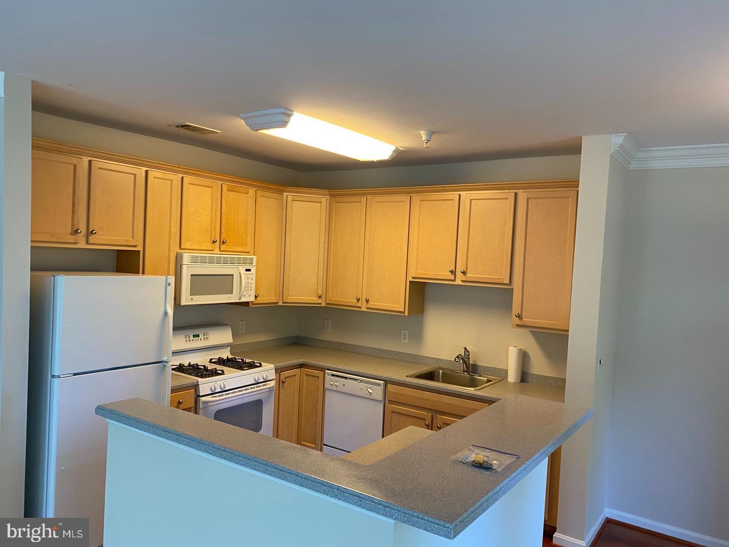 1641 Ladue Ct #108 Property Photo 7