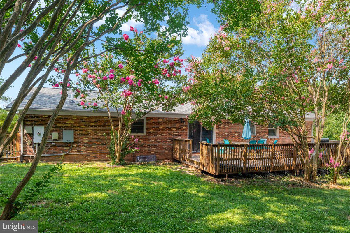 11622 Lucasville Rd Property Photo 23