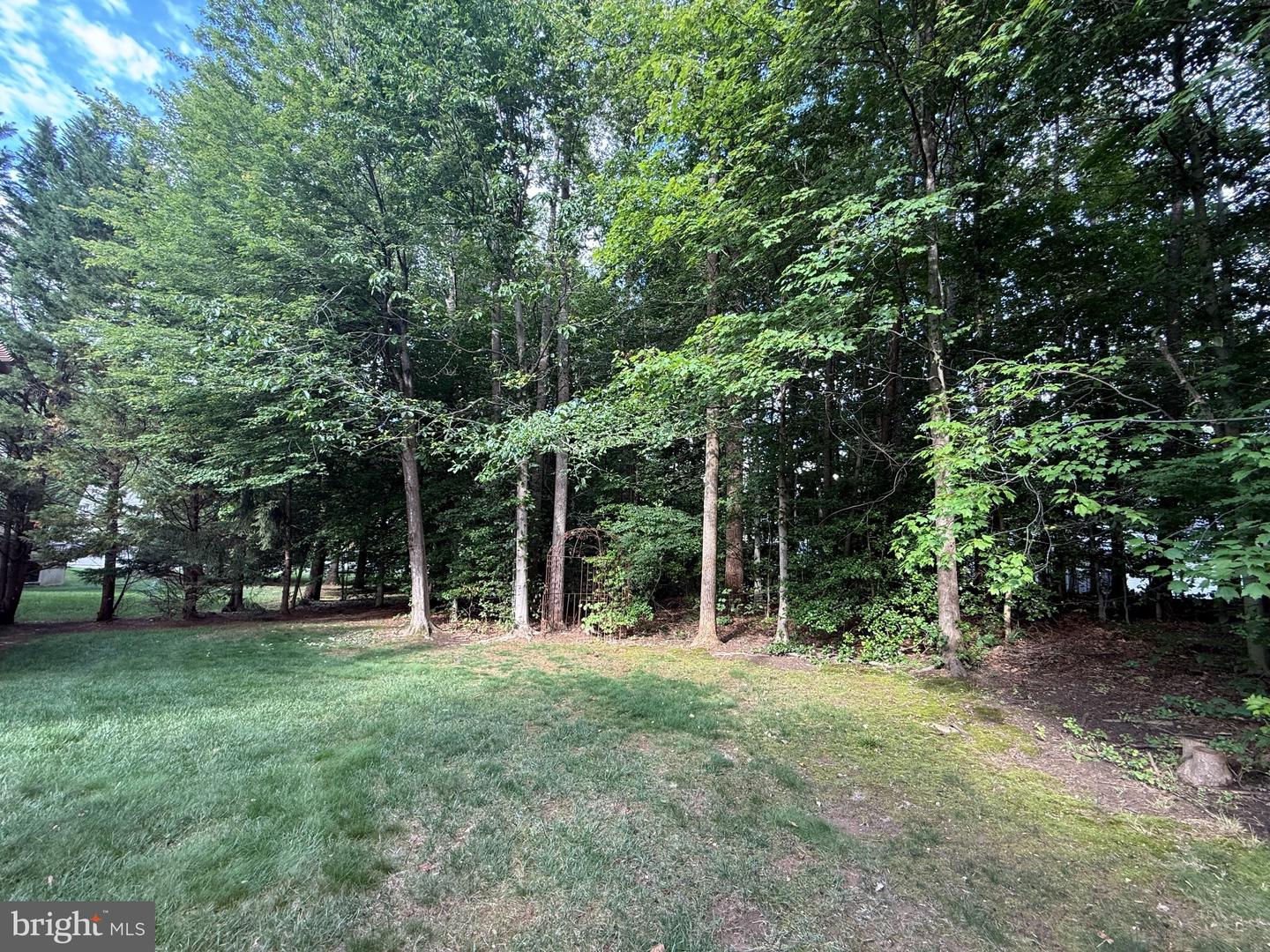 13175 Amblewood Dr Property Photo 40