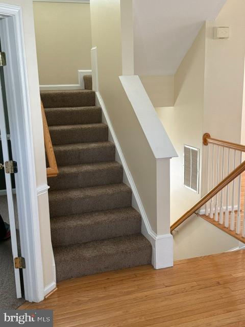 10036 Pentland Hills Way Property Photo 42