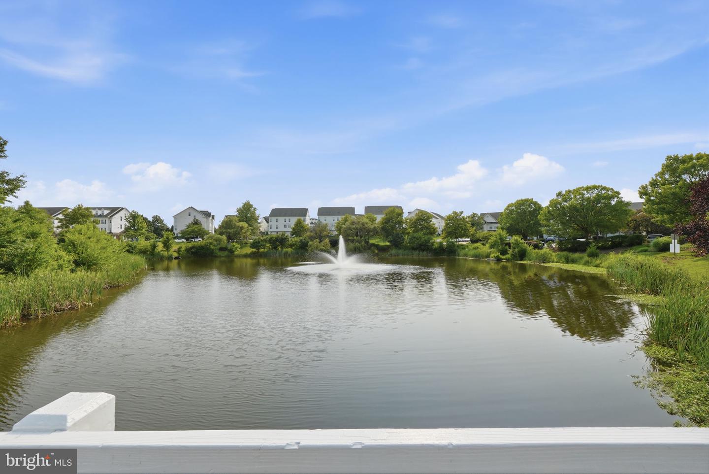 15054 Danehurst Cir Property Photo 49