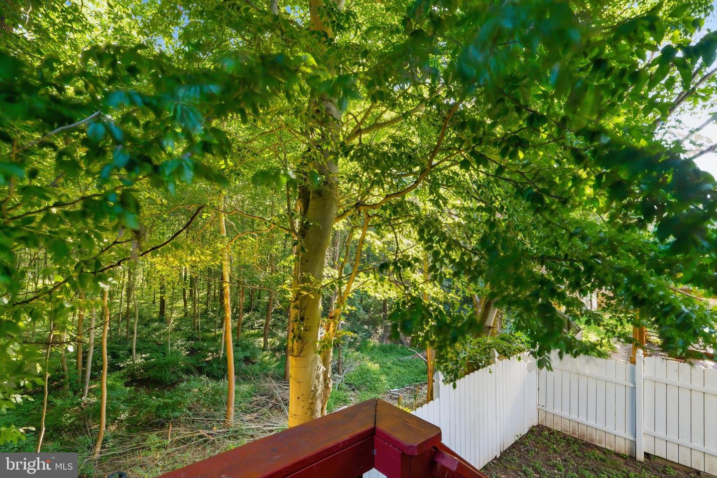 13857 Redford Ln Property Photo 55