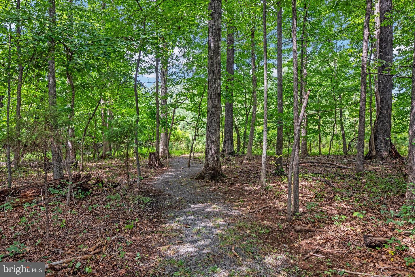 12212 Sour Gum Ct Property Photo 10