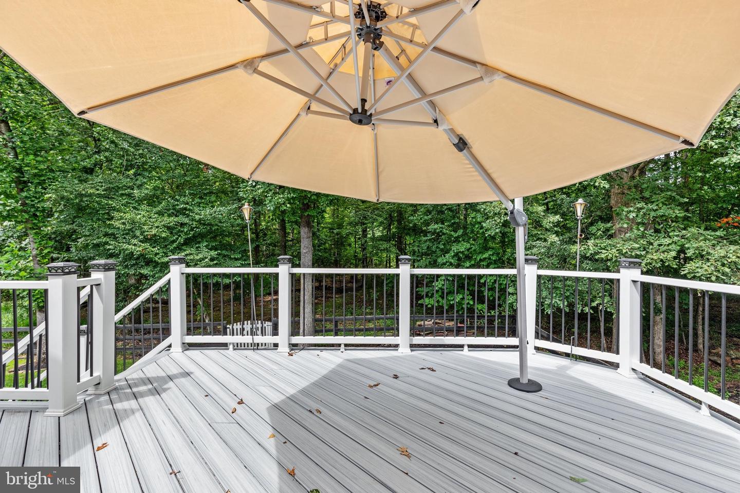 12212 Sour Gum Ct Property Photo 13