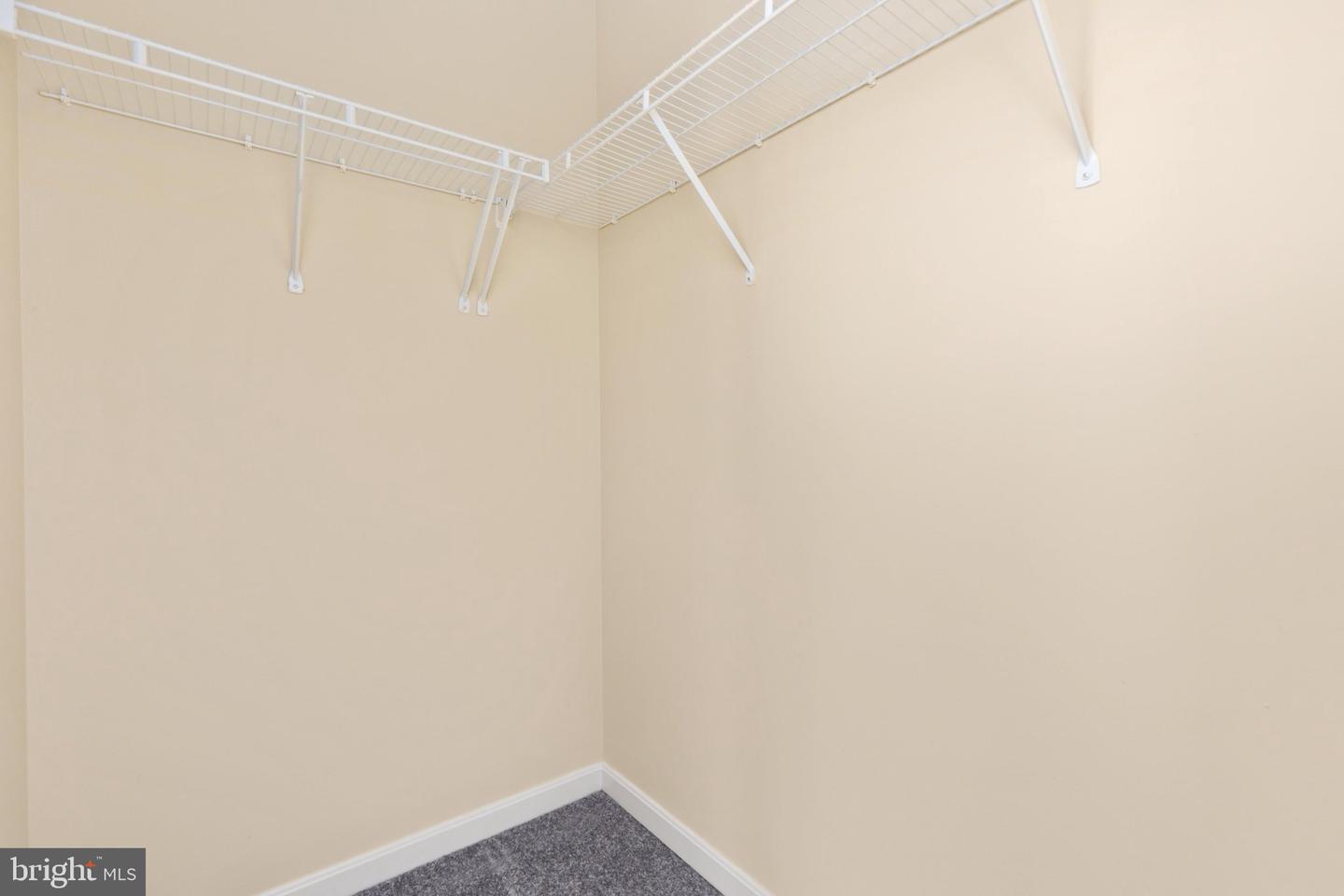 12212 Sour Gum Ct Property Photo 49
