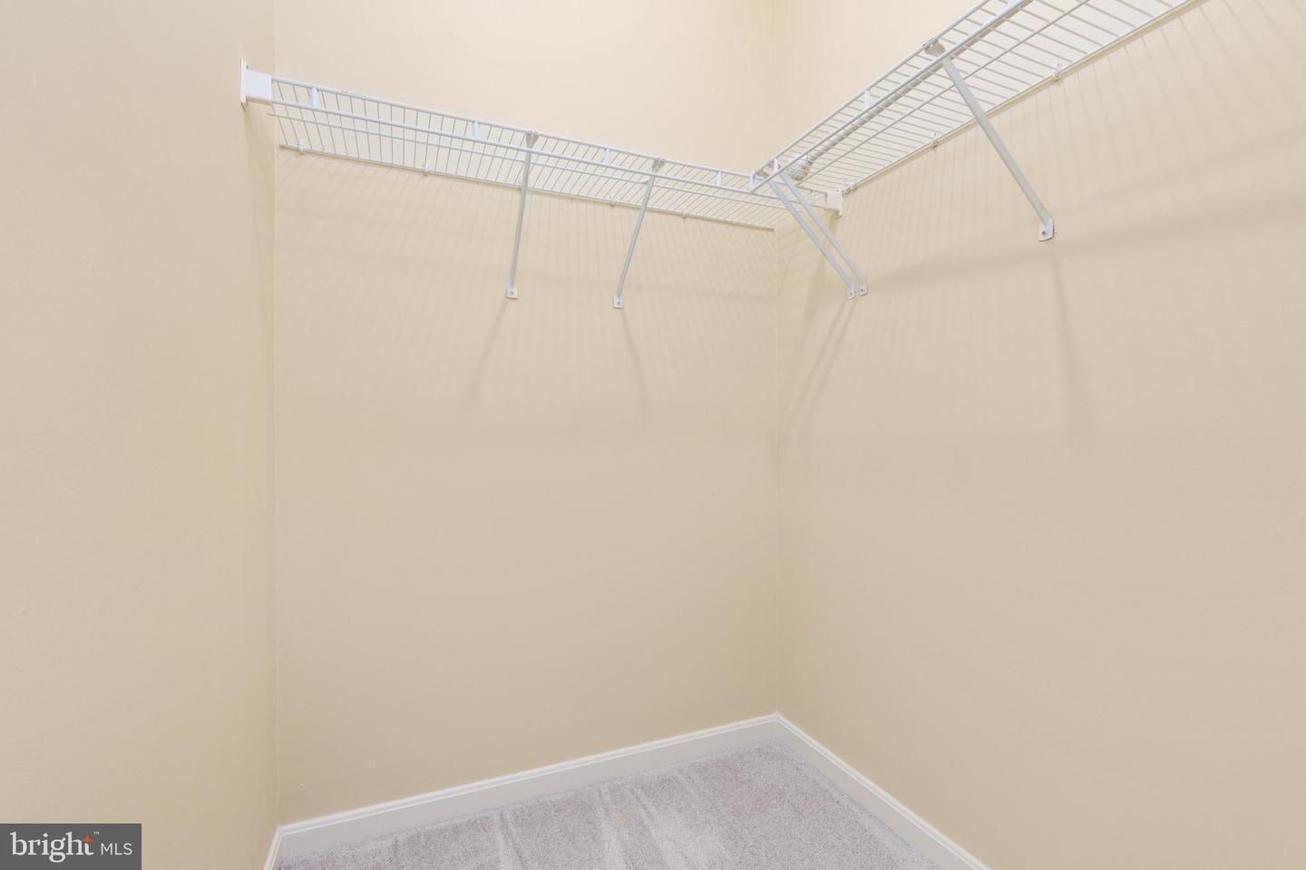 12212 Sour Gum Ct Property Photo 51