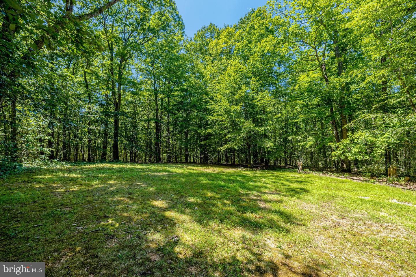13650 Independence Ridge Pl Property Photo 79