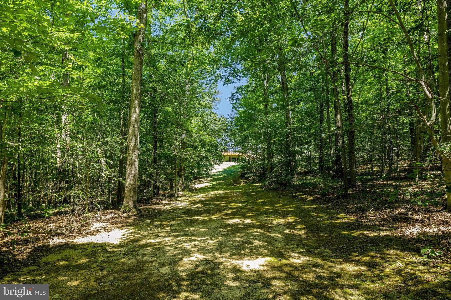 13650 Independence Ridge Pl Property Photo 80
