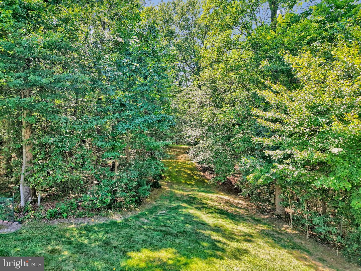 13650 Independence Ridge Pl Property Photo 94