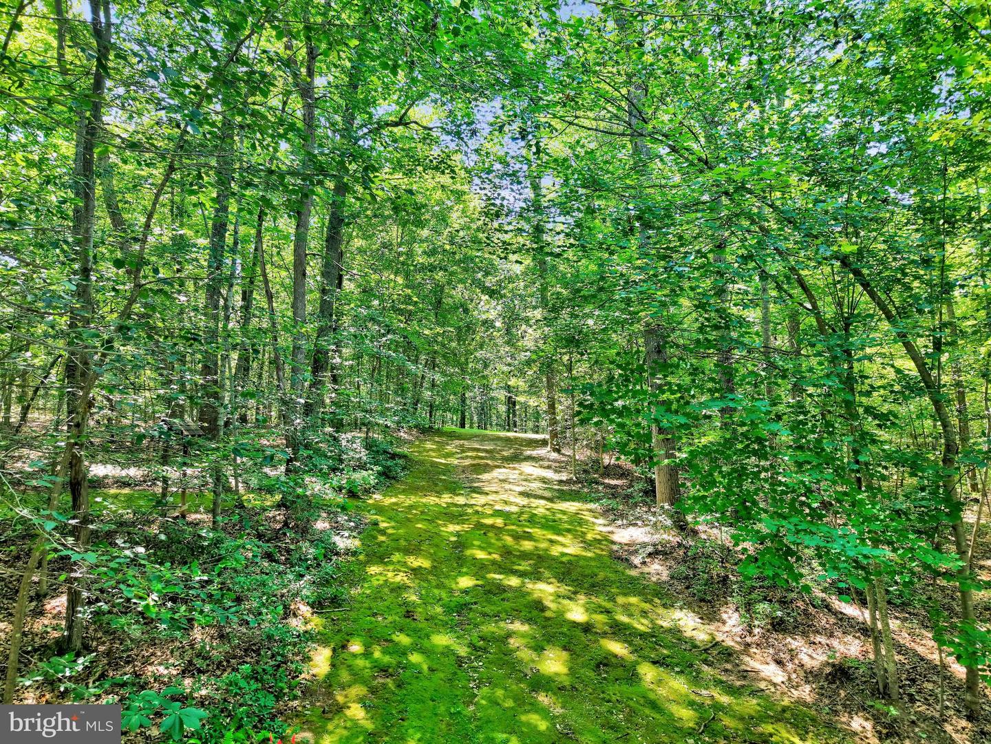 13650 Independence Ridge Pl Property Photo 95