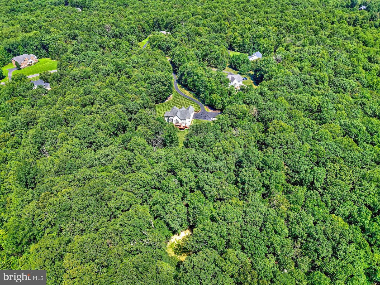 13650 Independence Ridge Pl Property Photo 96