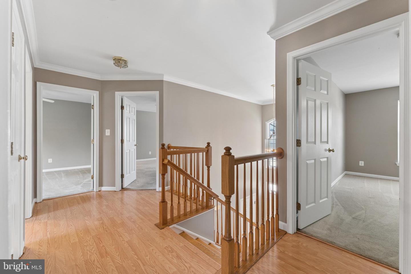 15121 Toccoa Ct Property Photo 19
