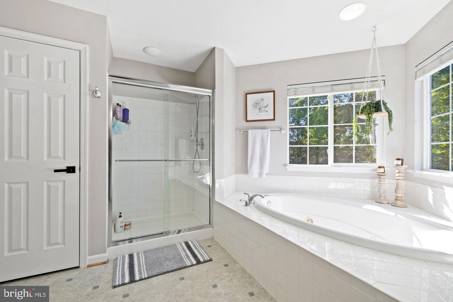 10274 Horizon View Ct Property Photo 38