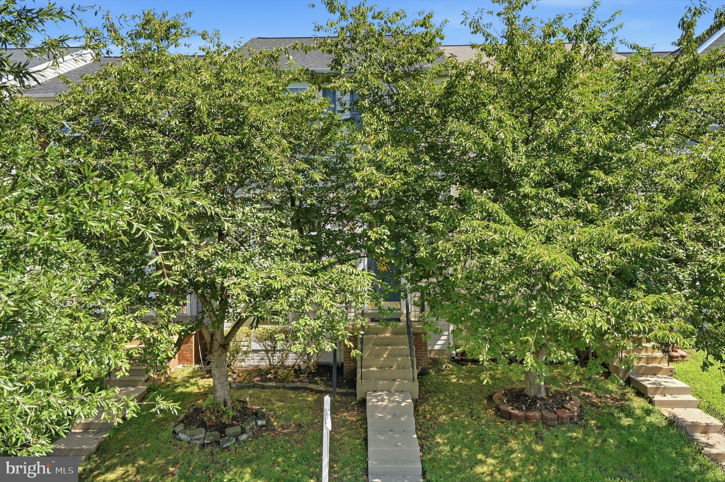12332 Penzance Ln Property Photo 2