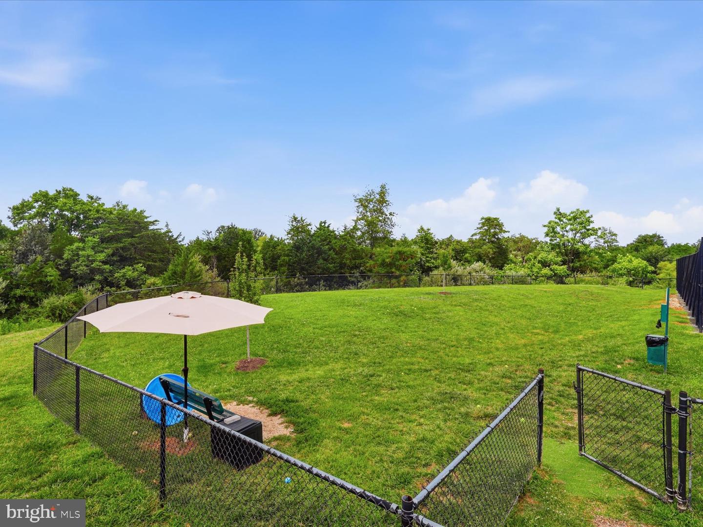 13745 Senea Dr Property Photo 48