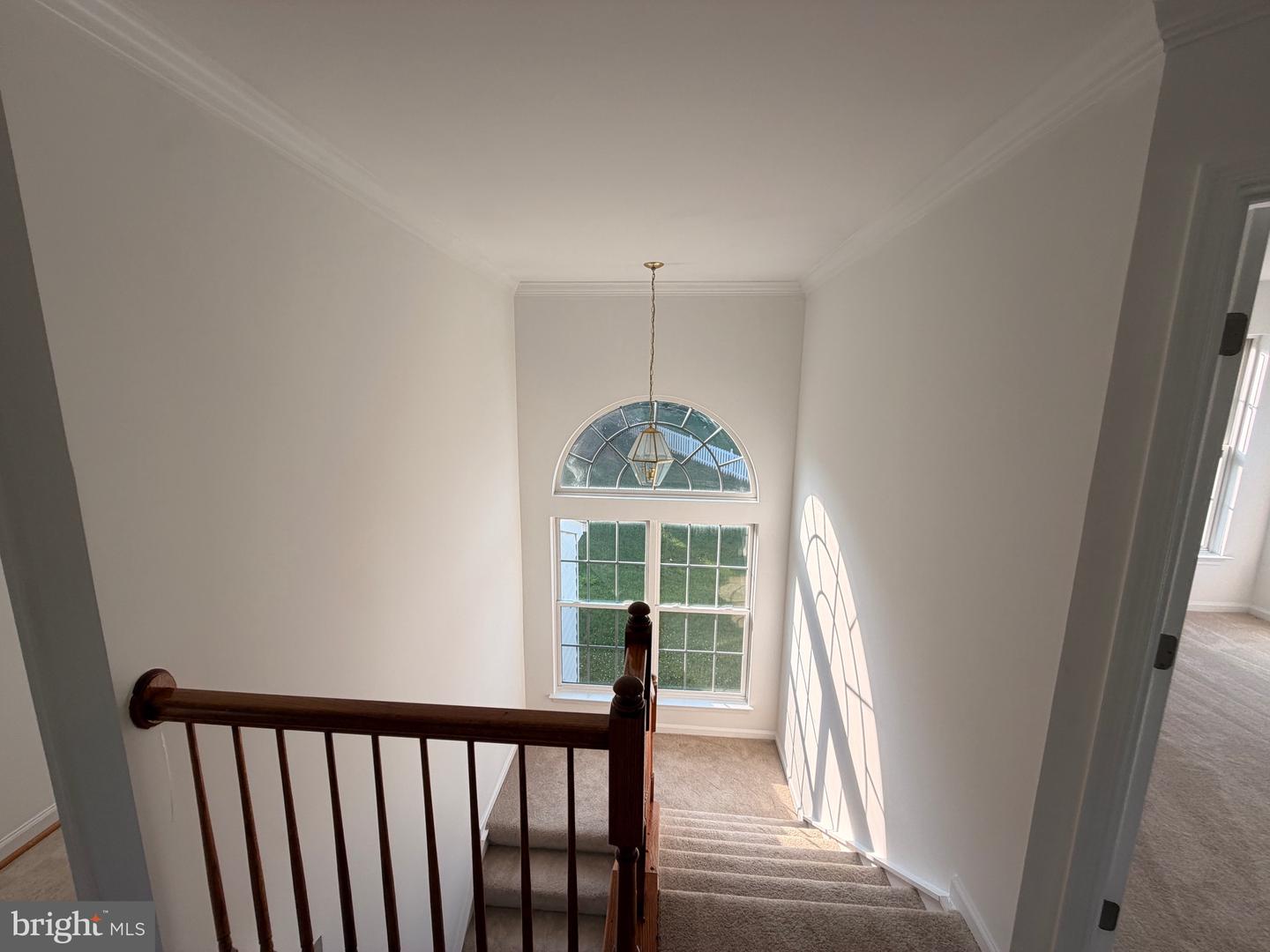 6542 Ashby Grove Loop Property Photo 18