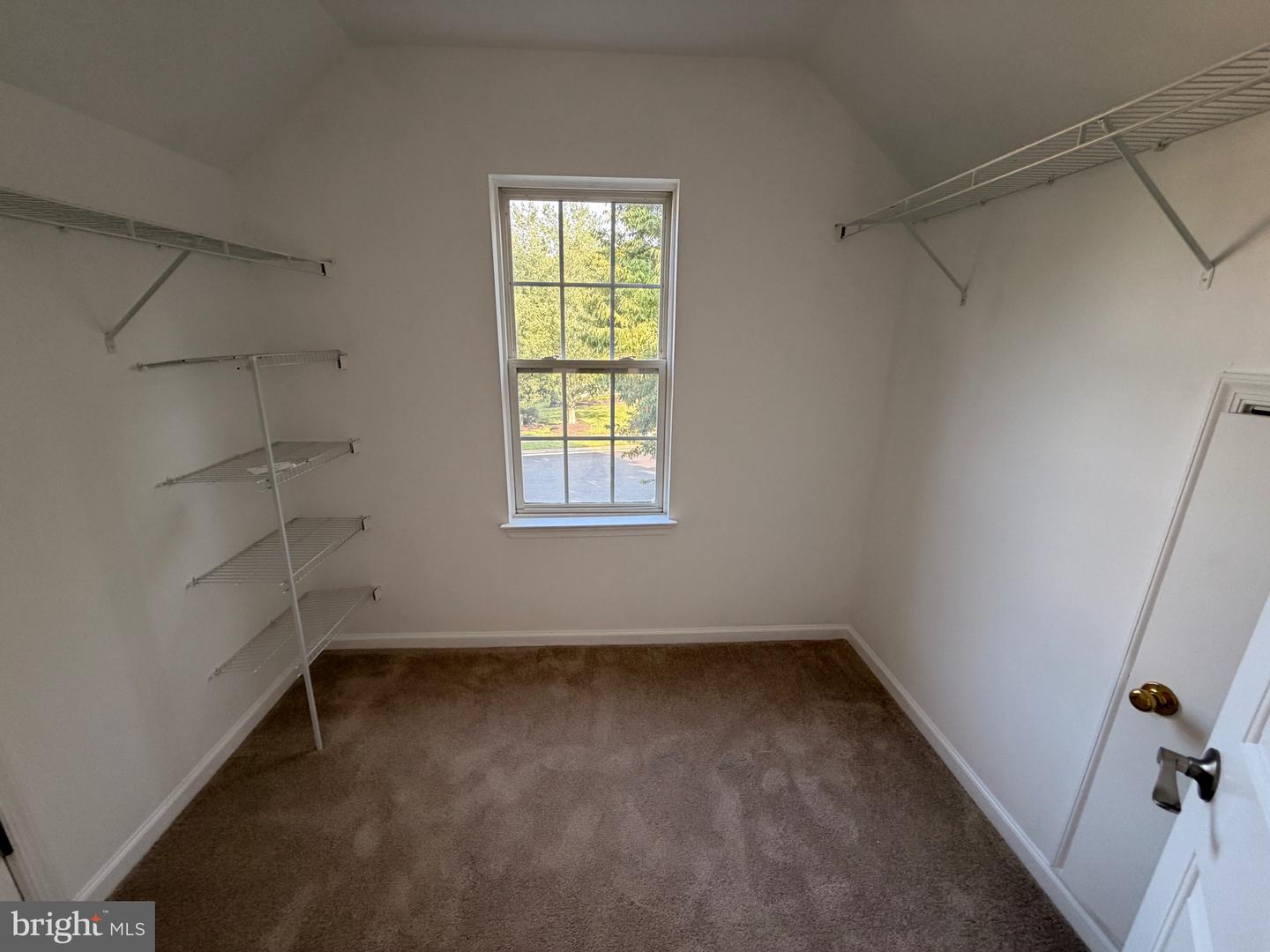 6542 Ashby Grove Loop Property Photo 19